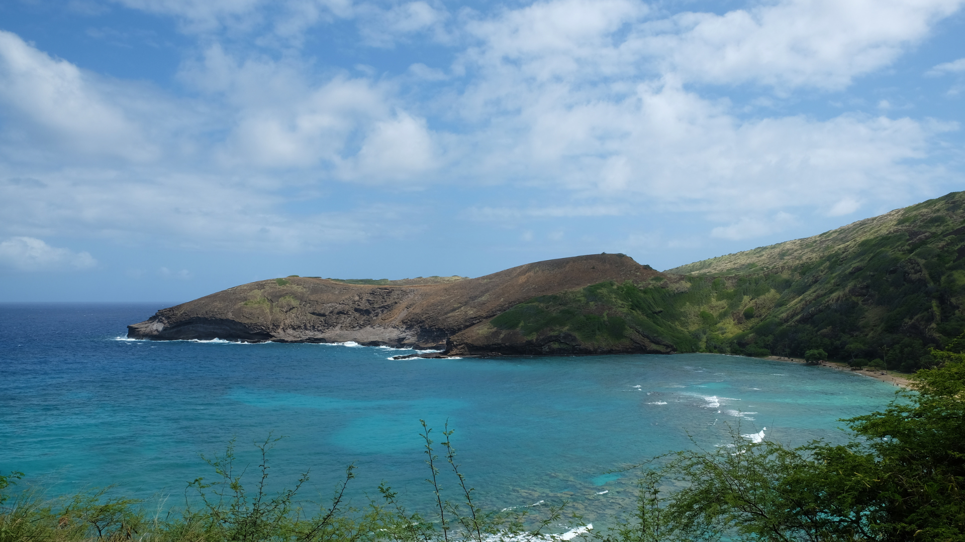 Watching A Coral Reef Die – The Chagos Archipelago