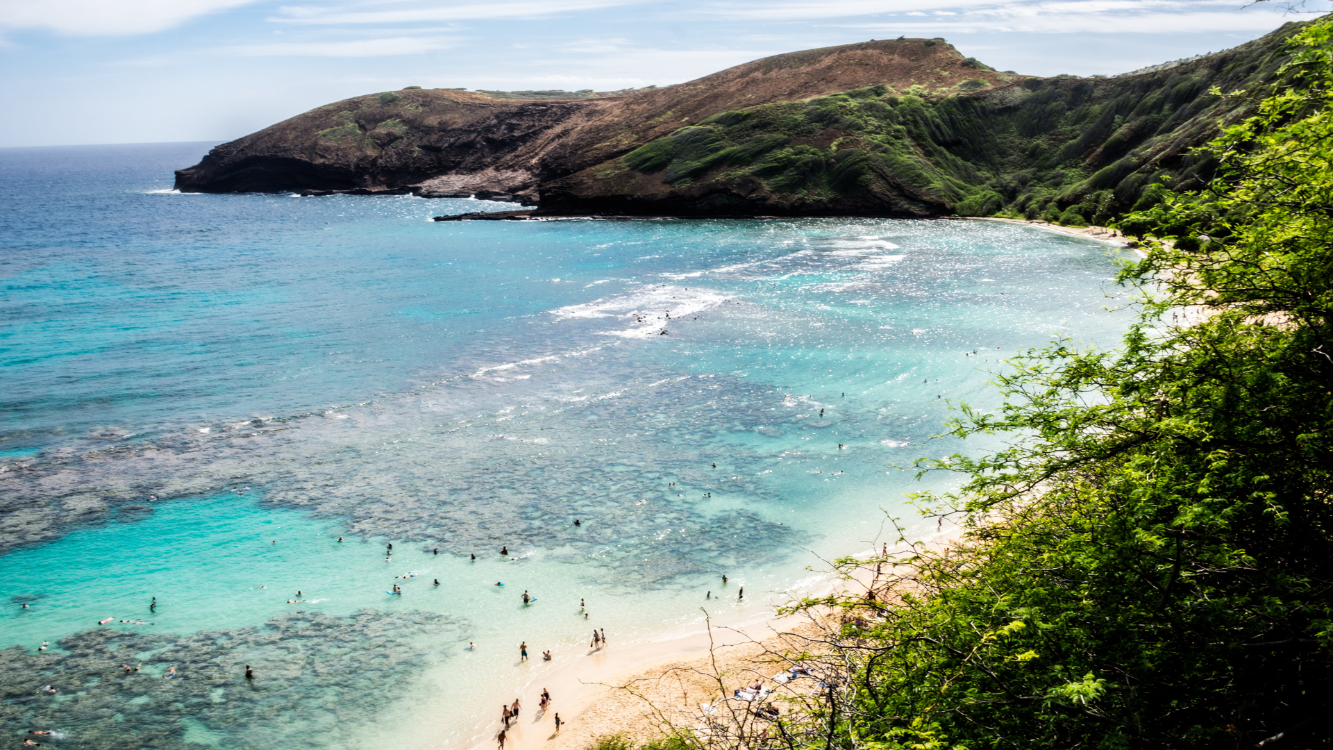 How a Lockdown Saved Hanauma Bay, One Of Hawaii’s Natural Treasures