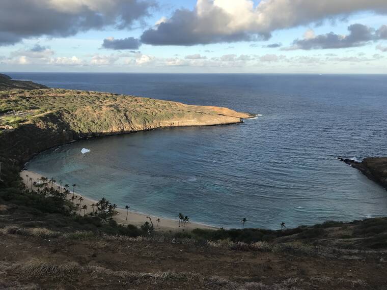 Oxybenzone Sunscreen Threatens Hanauma Bay’s Coral Reefs